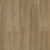 Sierra Oak