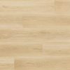 Arbiton WOODRIC ACOUSTIC Holman Oak CWA 182